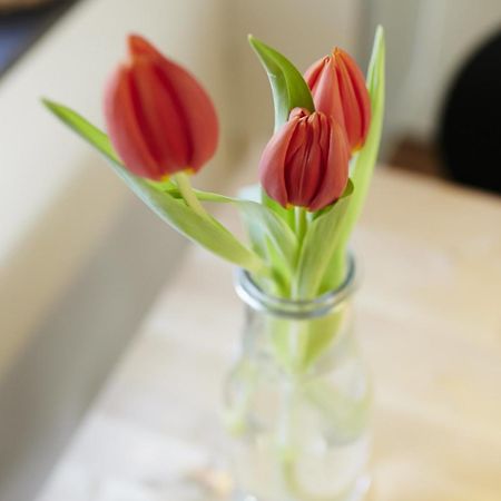 Rotes Bienenhaus Villa Kottenheim Eksteriør billede